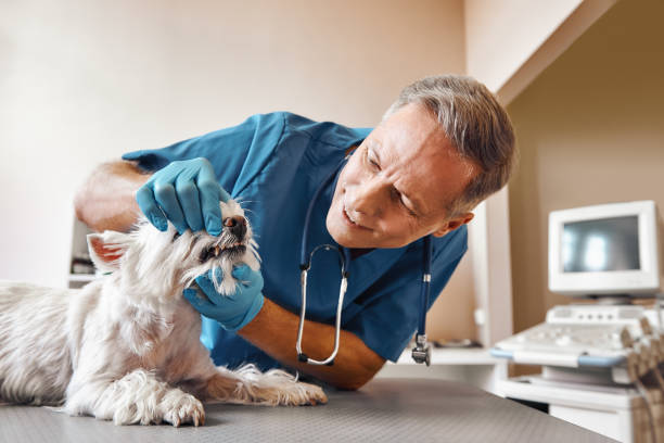 Best Emergency Tooth Extraction in Redan, GA